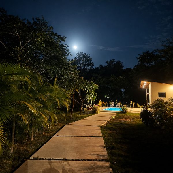 pool-delalma2